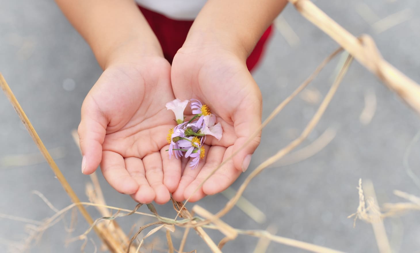 花を手に持つ子供の写真