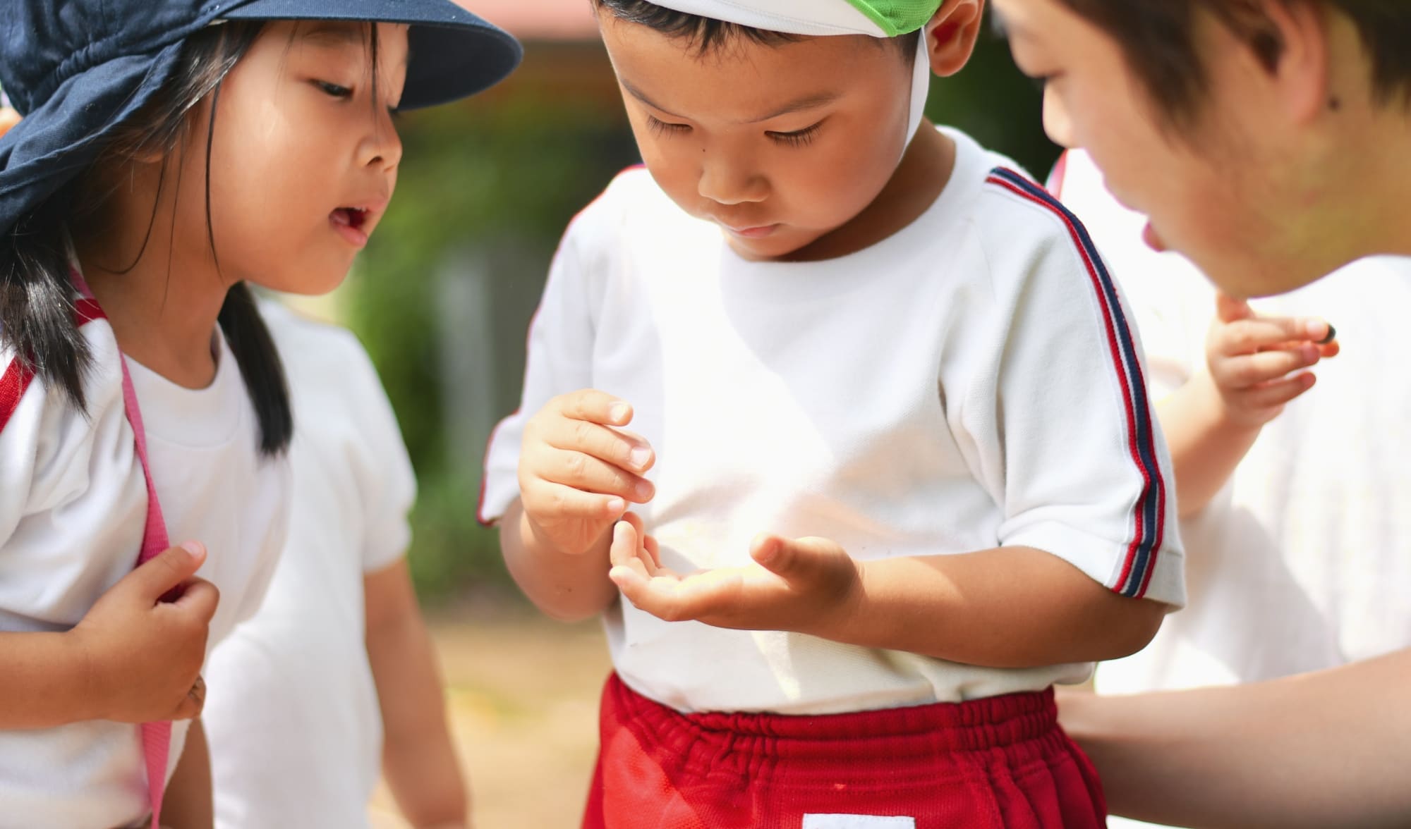 絵本を読む園児の画像